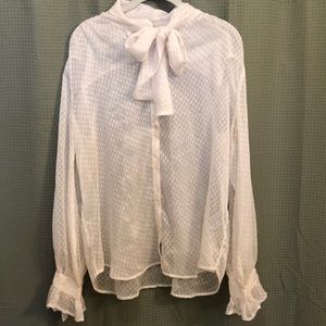 Banana Republic ~ Cream Sheer Blouse